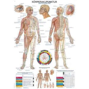 “Human Acupuncture” Wall Chart