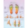 Wall Chart “Reflexive Foot Massage”
