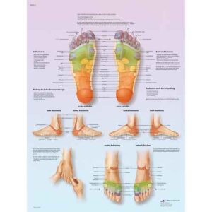 Wall Chart “Reflexive Foot Massage”