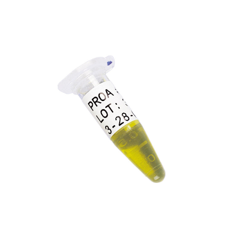 Brady FreezerBondz Labels