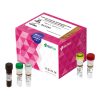 LineGene SARS-CoV-2 Test Kit